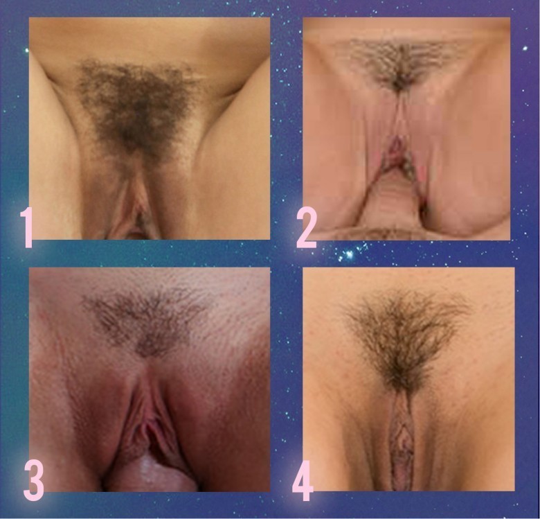 (hard one) In numberd order the bushes