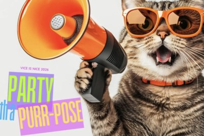VICE IS NICE 2026: Party with a Purr-pose Is Back July 25th